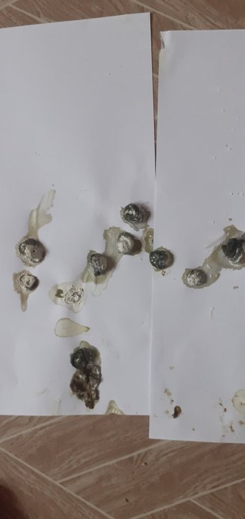 20220304_095232.jpg