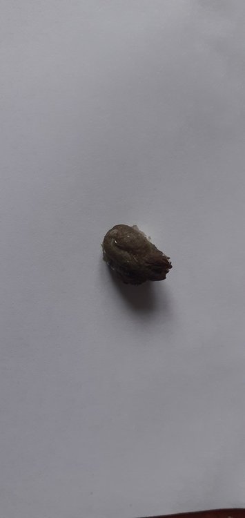 20220305_092711.jpg