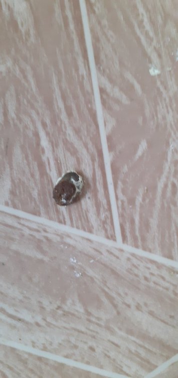 20220305_092716.jpg