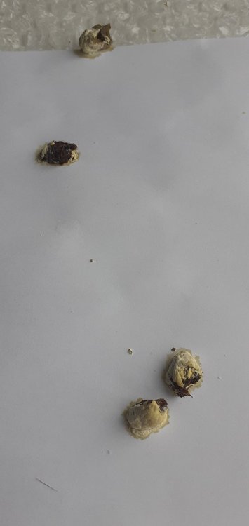 20220305_092748.jpg