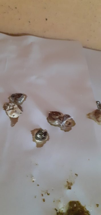 20220305_094236.jpg