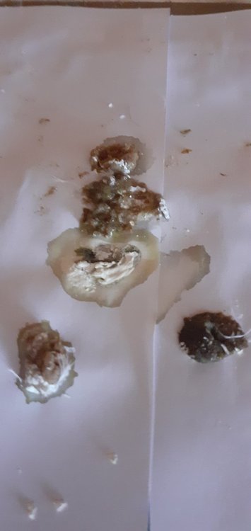 20220305_094243.jpg