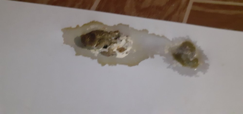 20220318_182236.jpg