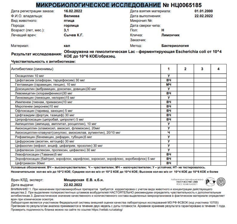 6d2abf1dd9fe8e2f425d62dd273e4acc.thumb.png.a0eb89cc823435d3e0c24b160774896f.png