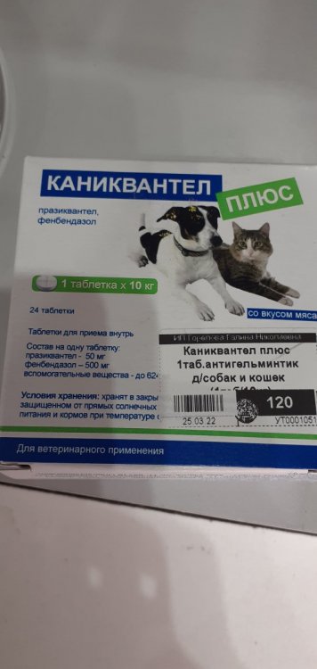 20220402_122010.jpg