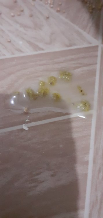 20220414_173030.jpg