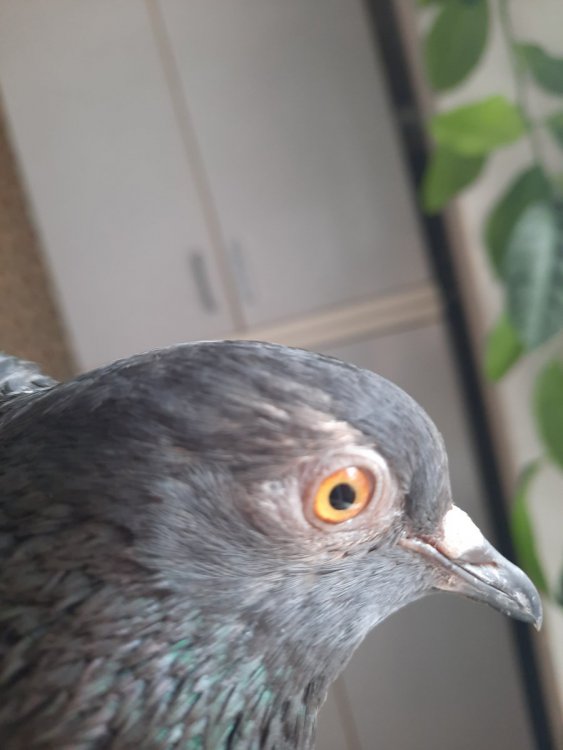 20220417_121331.jpg