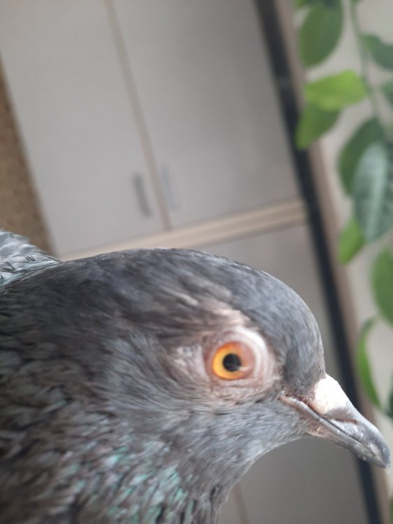 20220417_121333.jpg