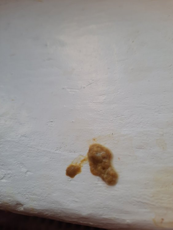 20220419_071043.jpg