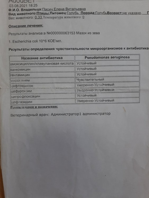 20220429_184738.jpg