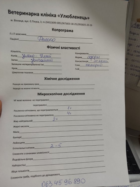 2BAA237A-9591-41E7-A44B-D88239991809.jpeg