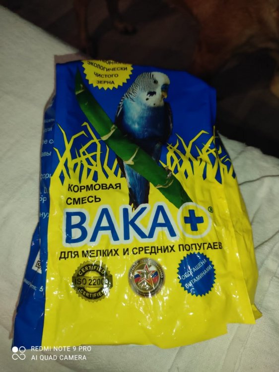 547162BD-E3FA-453D-BFCC-0E32BAD9BF1E.jpeg