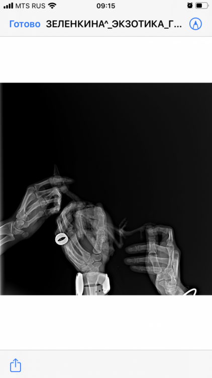 DD67F429-90DE-4AC7-A376-72930C482241.png