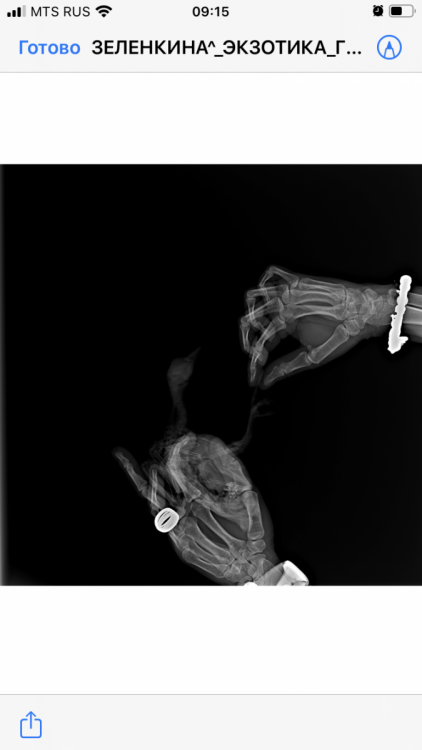 F2C827CC-235B-4BDC-AF72-D96FF5E011D3.png