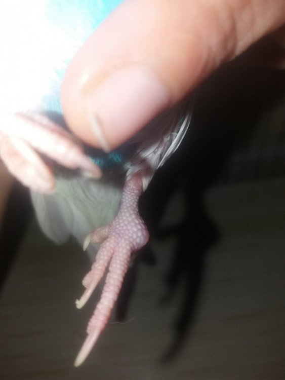 20220515_024436.jpg