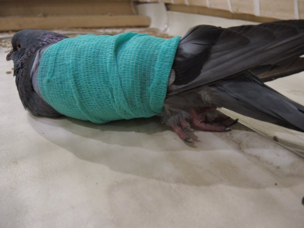 DSCN1561.JPG
