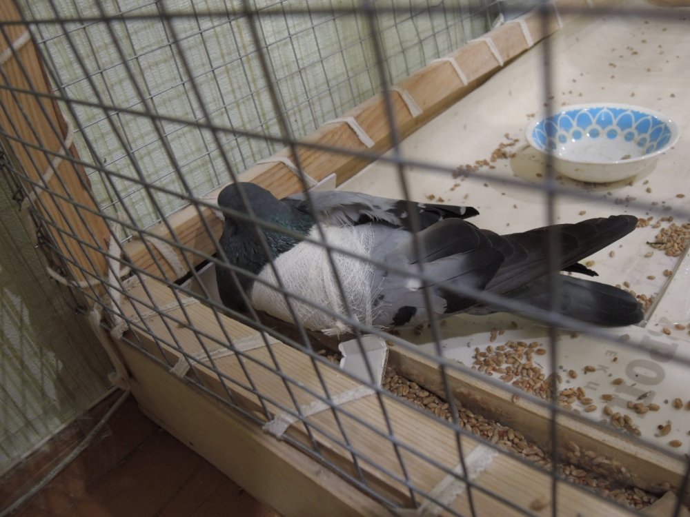 DSCN1563.JPG