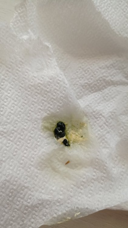 IMG_20220628_084056.jpg
