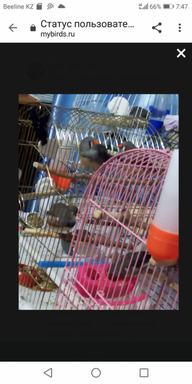 Screenshot_20220602-074723.png