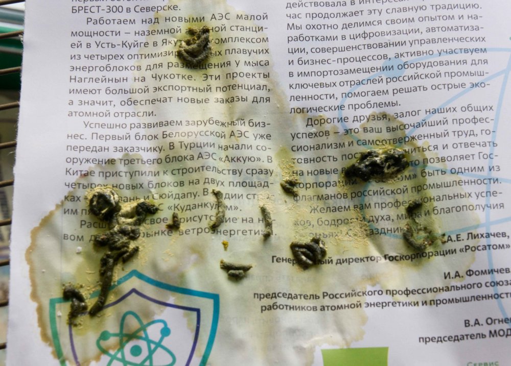 13 июля.jpg