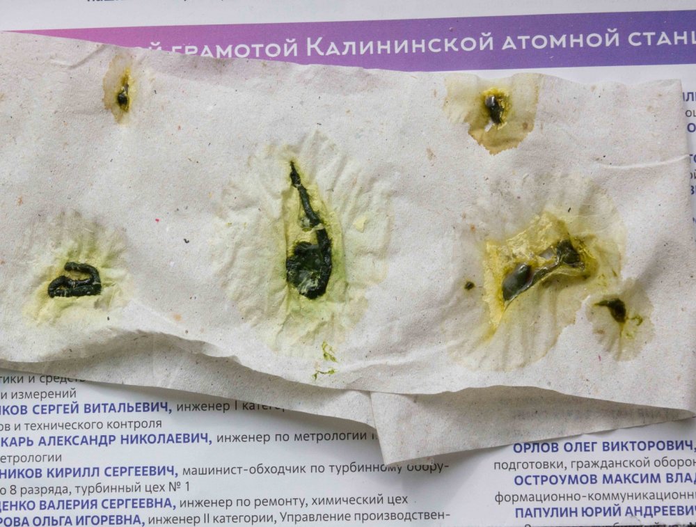 17 июля.jpg