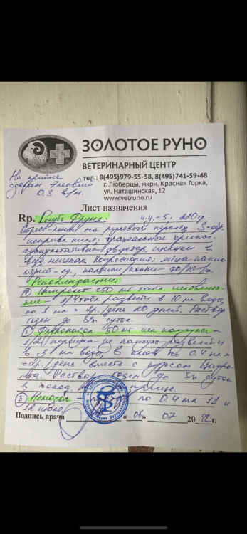 9AEBFF16-3BD6-4CA3-8D43-DE9484D7EB3D.png