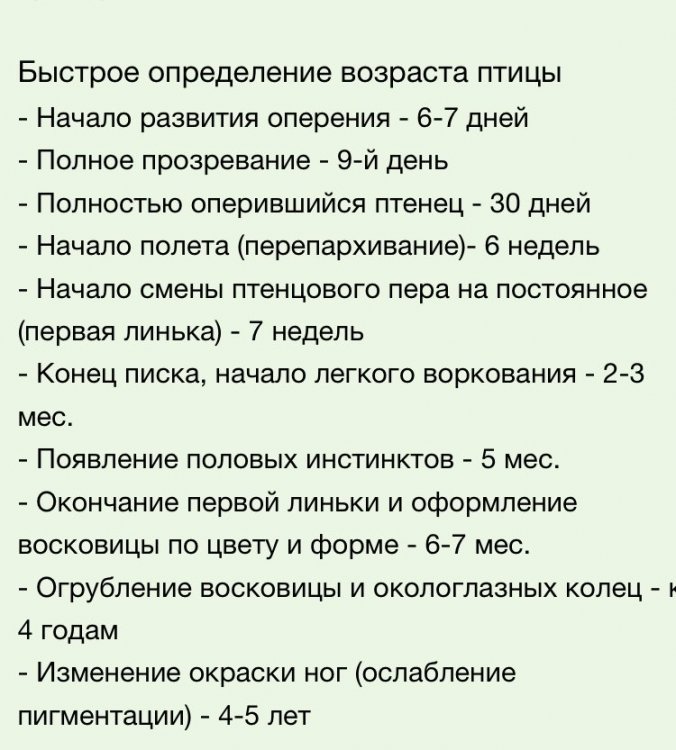 E1AB8CDA-A1AC-454A-B4BE-7E91805DF0E2.jpeg