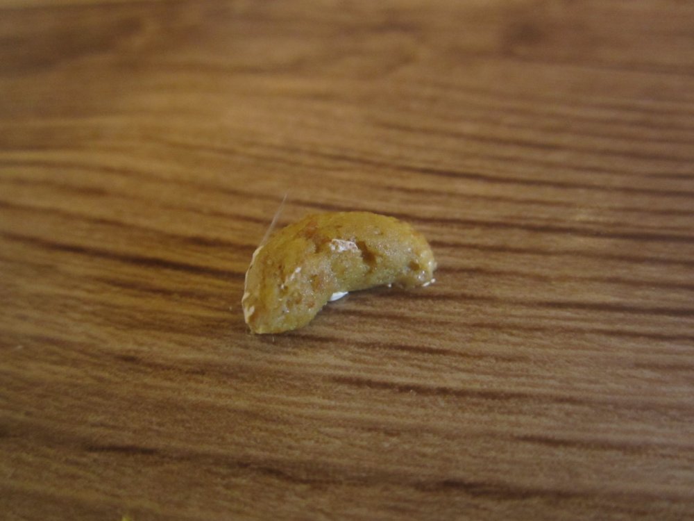 IMG_5547.thumb.JPG.a757ad0dd412dfd975268e81da909a0a.JPG