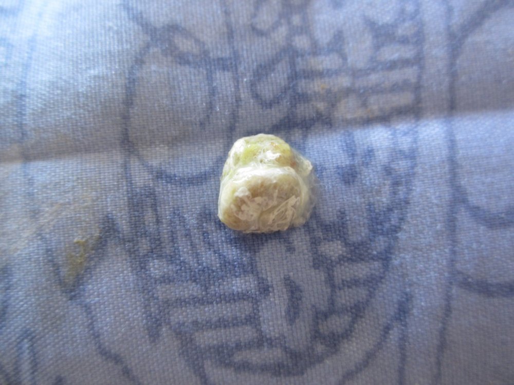 IMG_6509.thumb.JPG.db8ac7aecb7c98b1577cccf99e3371a8.JPG