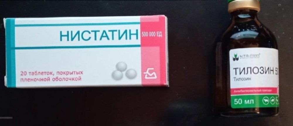 c-F1QHnVhUY.jpg