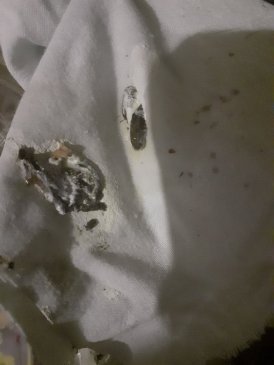 20220816_142139.jpg