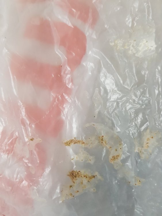 20220826_113700.jpg