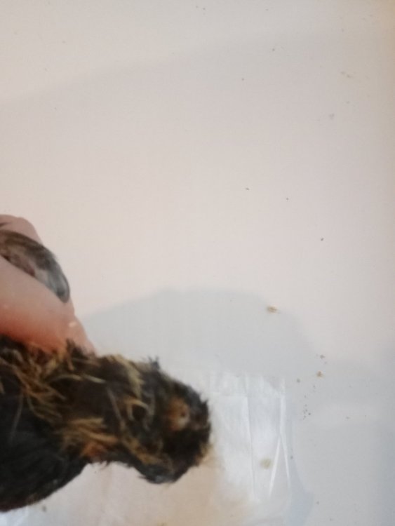 IMG20220812130936.jpg