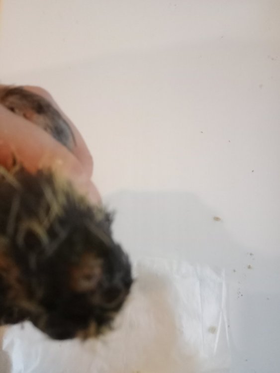 IMG20220812130941.jpg