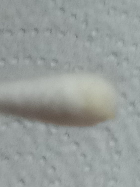 IMG_20220818_103049.jpg