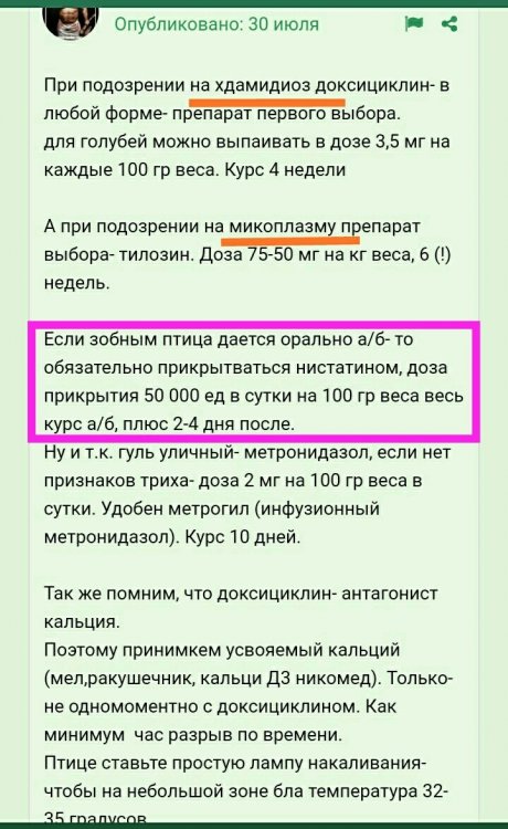 IMG_20220825_155212.thumb.jpg.e0ddc4b05ddac35e079a1b8918b0e0d3.jpg
