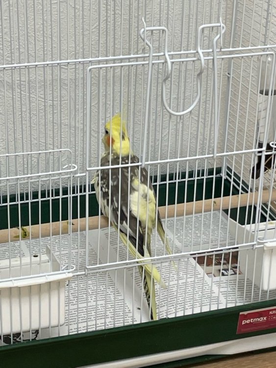 image8.jpeg