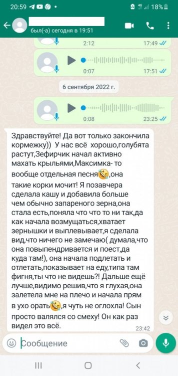 номер телефона СКРЫТЫЙ.jpg