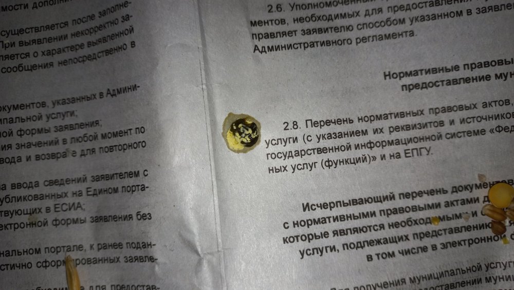 20220911_215222.jpg