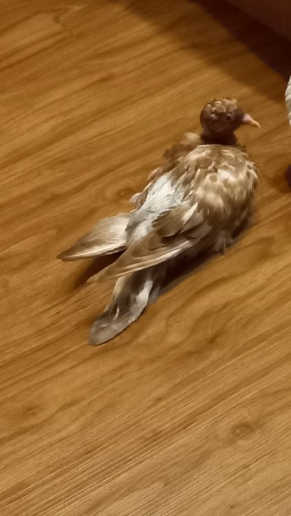 20220912_223623.jpg