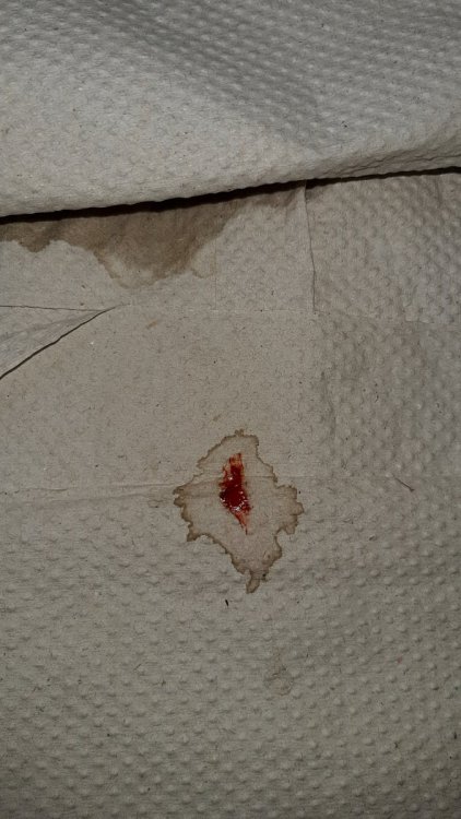20220928_125839.jpg