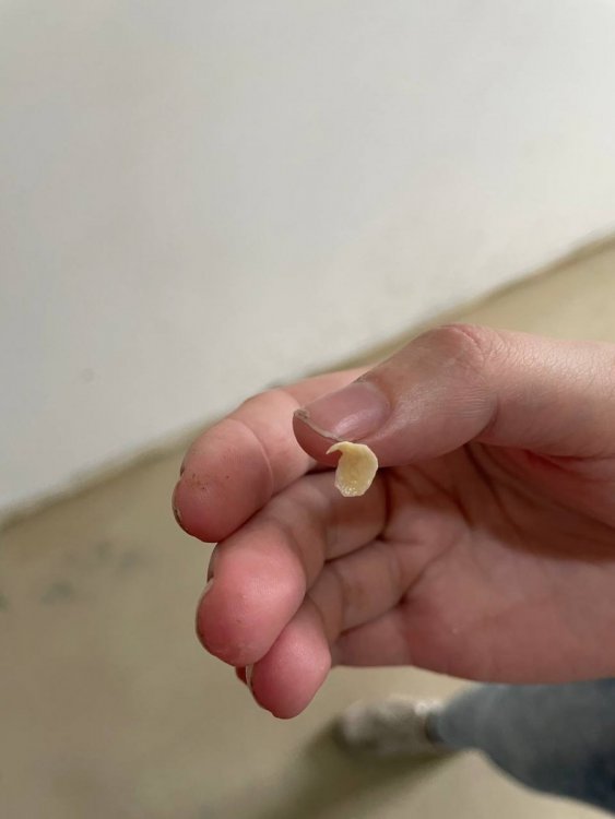DF0E5D11-0EAE-4317-9355-B945278E4589.jpeg