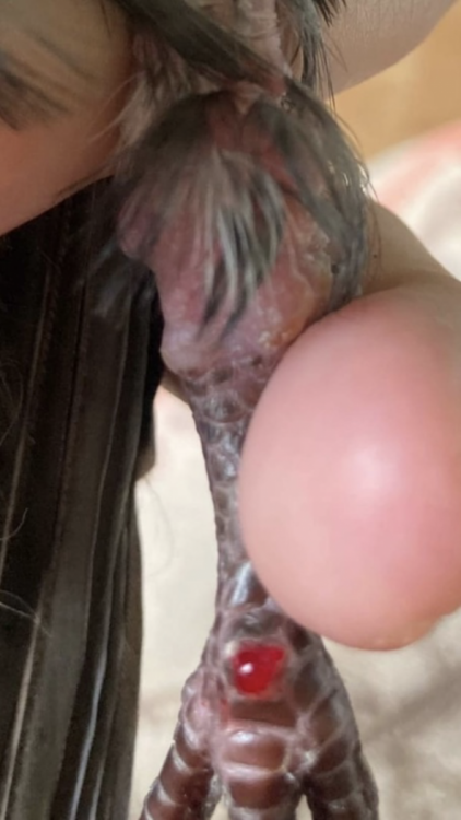 E5960A4D-C83B-481F-936E-4B8E5534499D.png