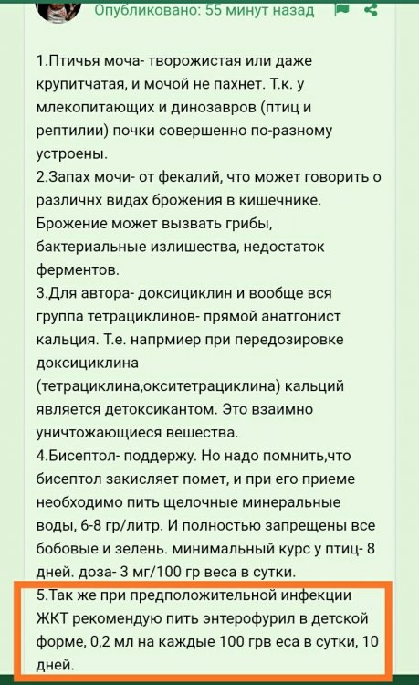 IMG_20220816_111417.thumb.jpg.6c6b92408a02ac448e0d50581f71ace2.jpg