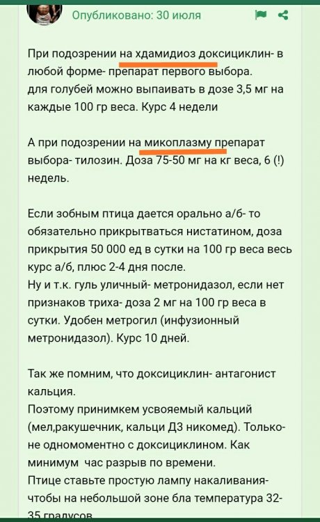 IMG_20220819_225929.thumb.jpg.06c3ebd83aee3bbc8fec2643fda37836.jpg