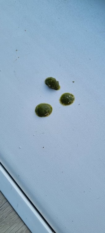20221001_172642.jpg