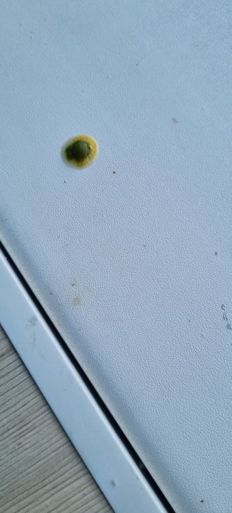 20221001_172644.jpg