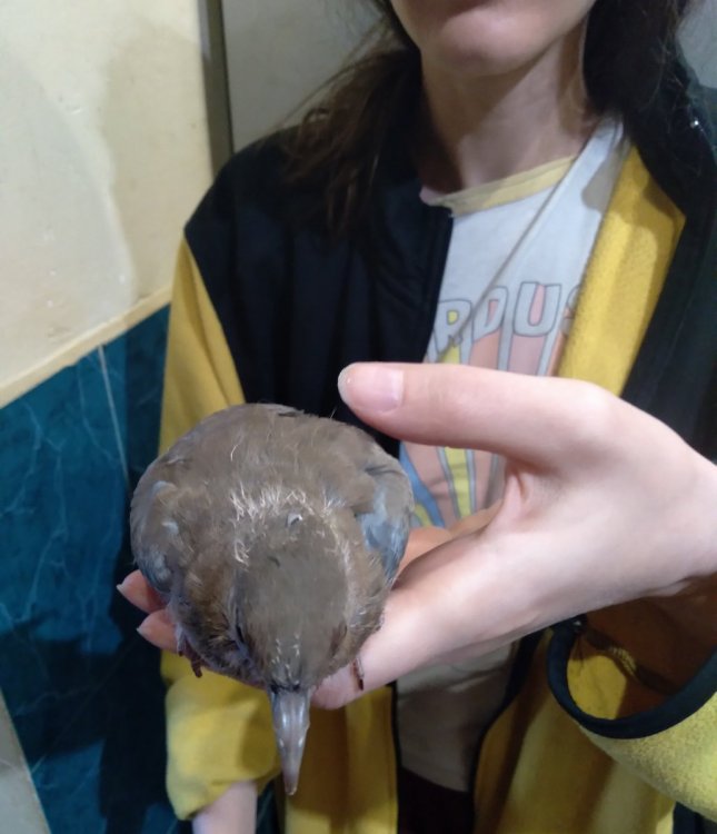 20221015_102232.thumb.jpg.1a7534a98b3face2f34f8354f9f8f664.jpg