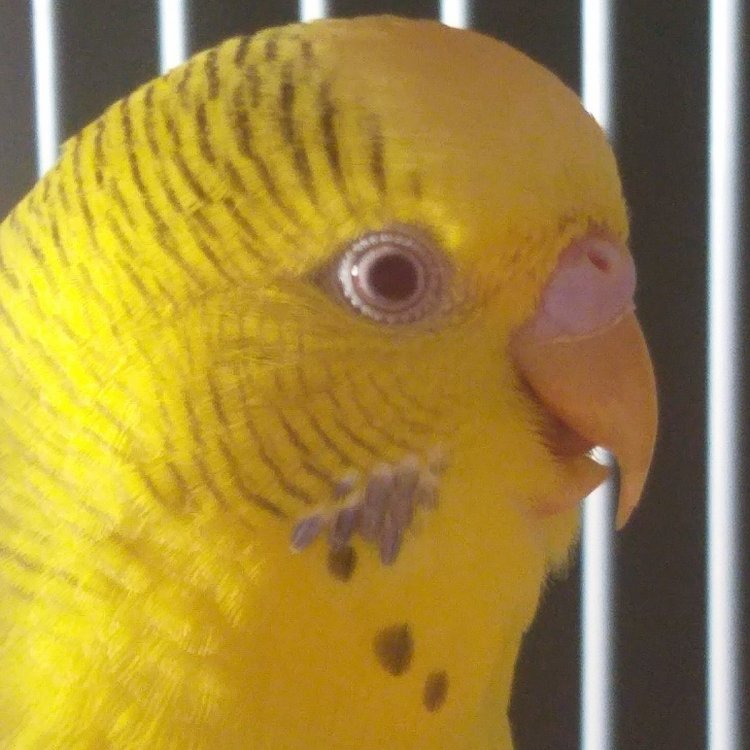 20221019_171712.jpg