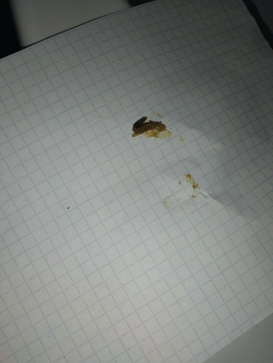 20221021_184049.jpg